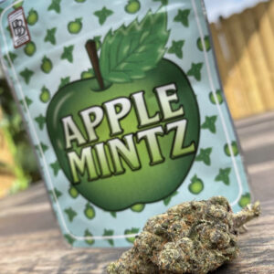 Acquista varietà di erba Apple Mintz