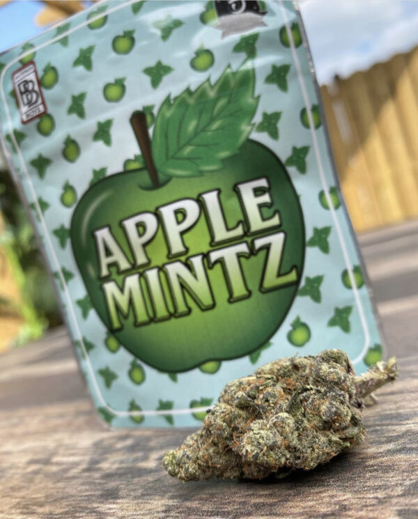 Acquista varietà di erba Apple Mintz