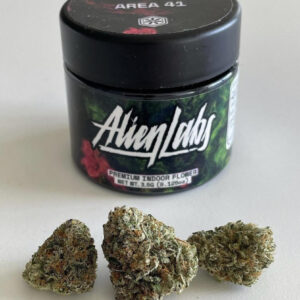 Acquista la varietà Area 41weed