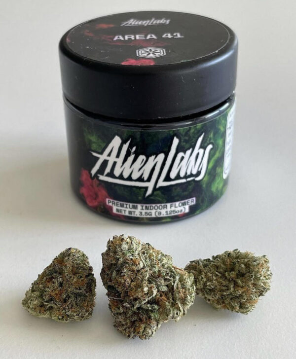 Acquista la varietà Area 41weed