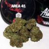 Acquista la varietà Area 41weed