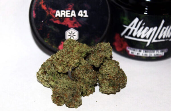 Acquista la varietà Area 41weed