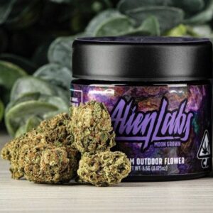 Acquista Baklava Strain