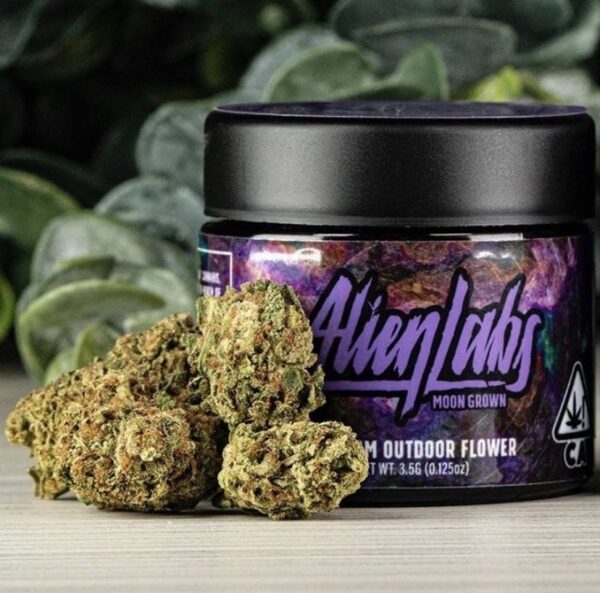 Acquista Baklava Strain
