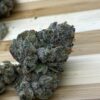 Acquista Baklava Strain