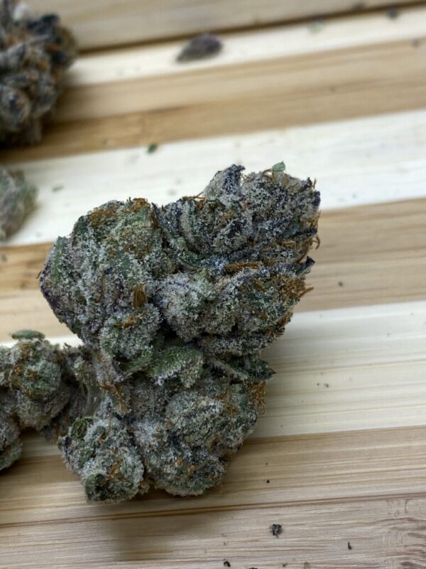 Acquista Baklava Strain