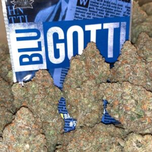 Acquista la varietà Blue Gotti Weed