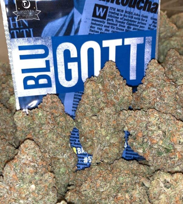 Acquista la varietà Blue Gotti Weed