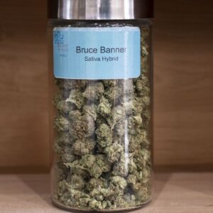 Acquista Bruce Banner