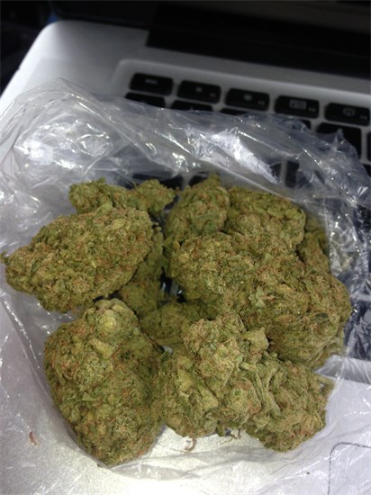 Acquista Aloha Berry