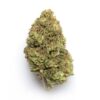 Acquista American Pie Strain