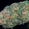 Acquista Big Buddha Cheese
