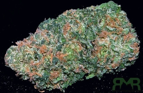 Acquista Big Buddha Cheese