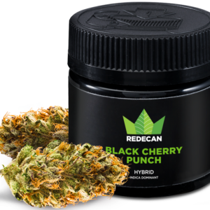 Acquista Black Cherry Punch