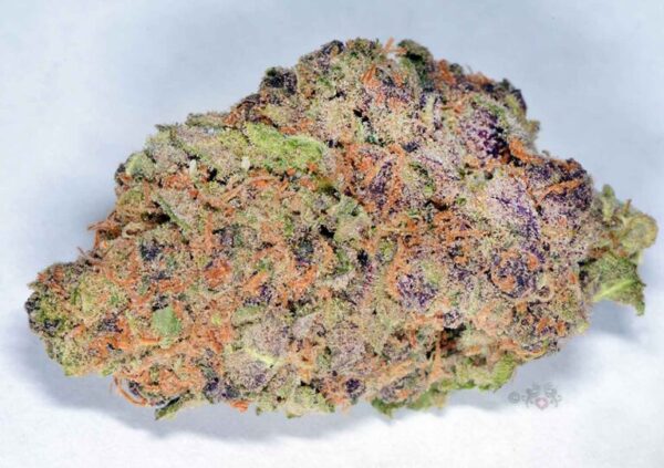 Acquista Black Cherry Punch