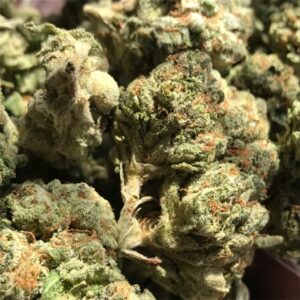 Acquista Blue Cheese