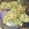 Acquista Bruce Banner