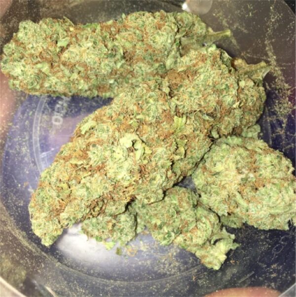 Acquista Bruce Banner