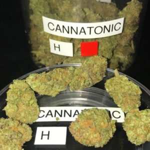 Acquista Cannatonic