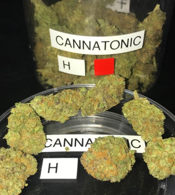 Acquista Cannatonic