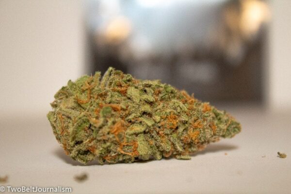 Acquista Candy Jack