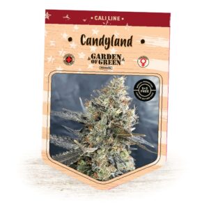 Acquista Candyland
