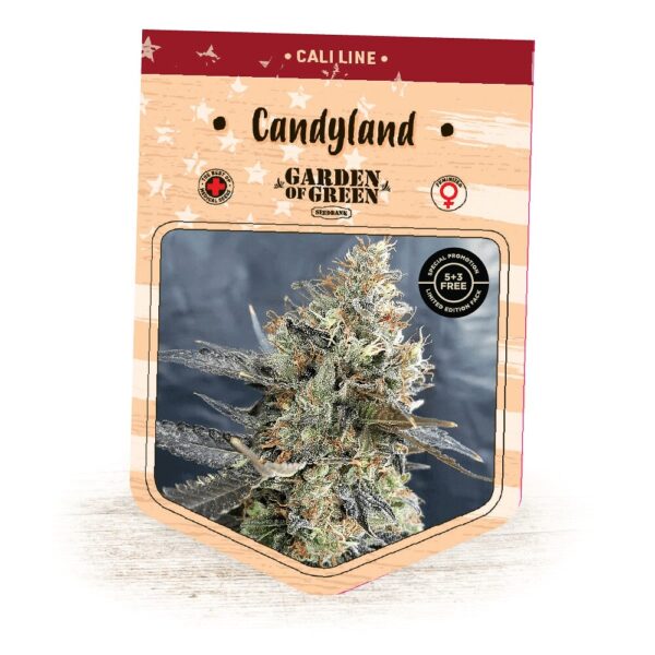 Acquista Candyland
