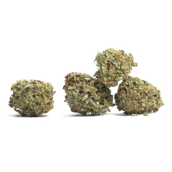 Acquista Bubble Cheese