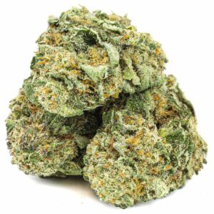 Acquista Sweet Cheese