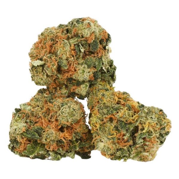 Acquista Amnesia Haze marijuana