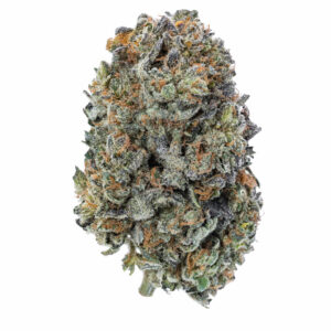 Acquista Aurora Indica Marijuana