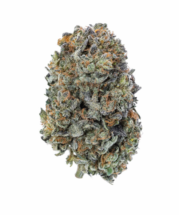 Acquista Aurora Indica Marijuana