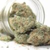 Acquista Green Crack erba