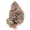 Acquista Beaver Tail Marijuana
