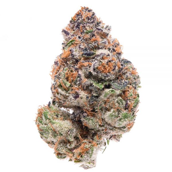 Acquista Beaver Tail Marijuana