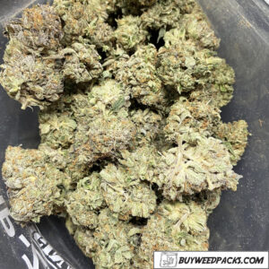 Acquista Jedi Kush marijuana