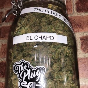 Acquista El Chapo OG marijuana