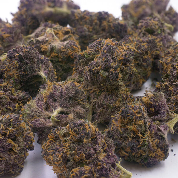 Acquista Huckleberry Soda marijuana