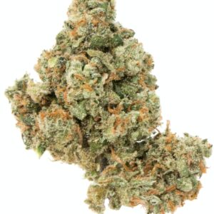Acquista jack herer