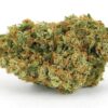 Acquista jack herer