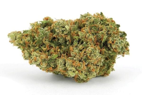 Acquista jack herer