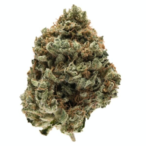 Acquista Kosher Kush weed