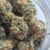 Acquista Skunk XL Marijuana