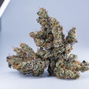 Acquista Slapz Marijuana