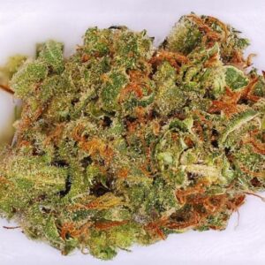 Acquista Dedoverde Haze strain