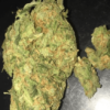 Acquista Asian Fantasy marijuana