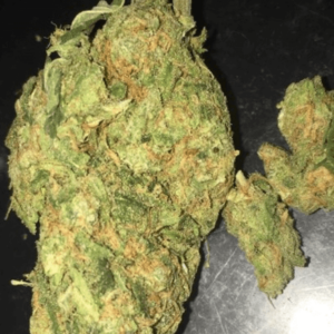 Acquista Asian Fantasy marijuana