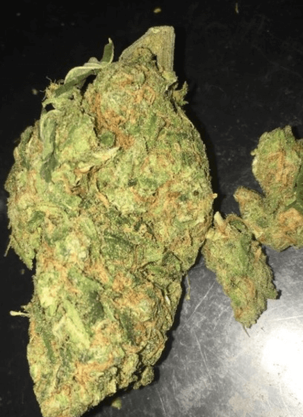 Acquista Asian Fantasy marijuana
