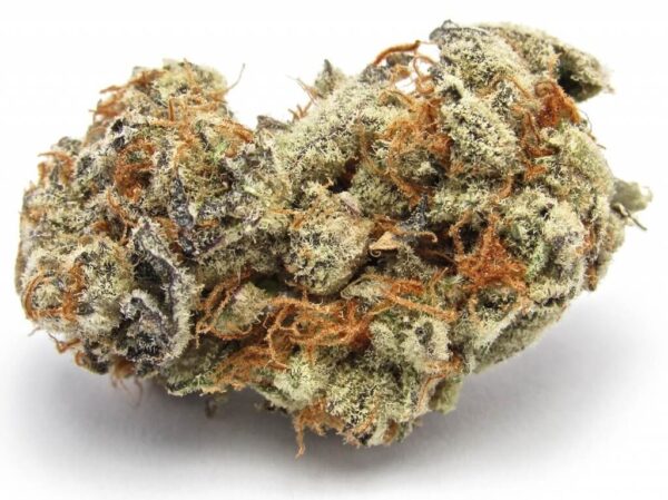 Acquista Birthday Cake Kush