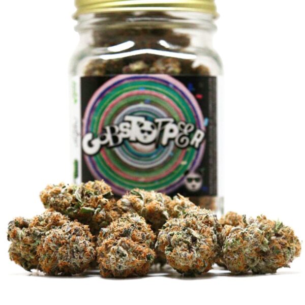 Acquista Gobbstopper strain